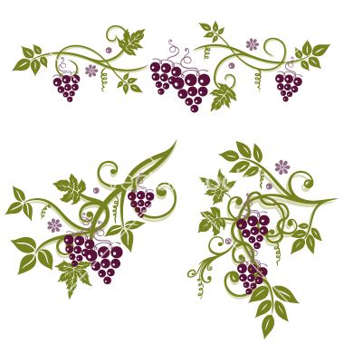 380x400 Grapevine Vector Border Clipart