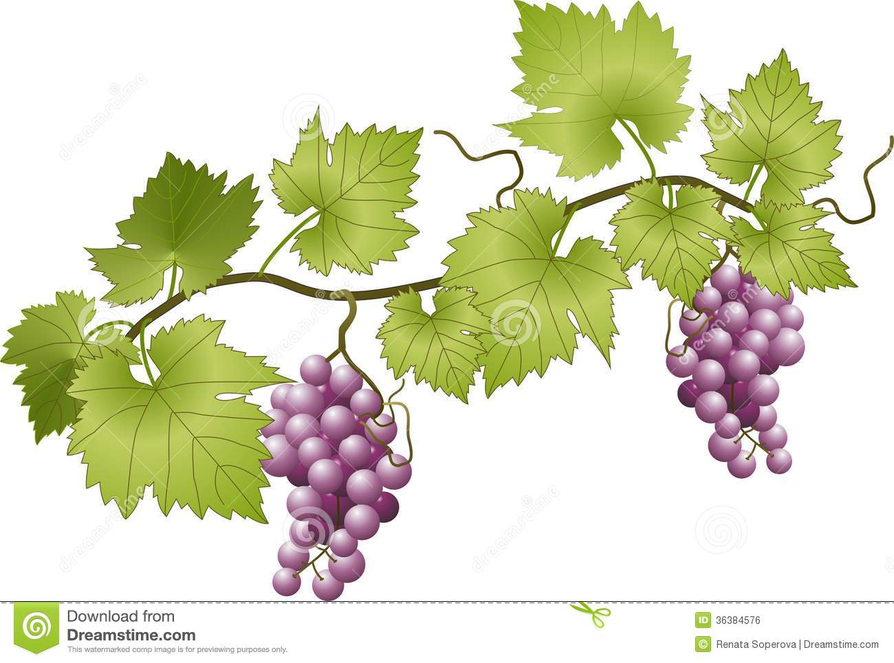 1300x965 Looking For A Tutorial On Modeling Grape Vines