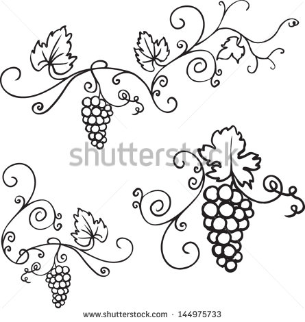 445x470 Free Vector Vines And Leaves Decorative Grapes Amp Vine Vector