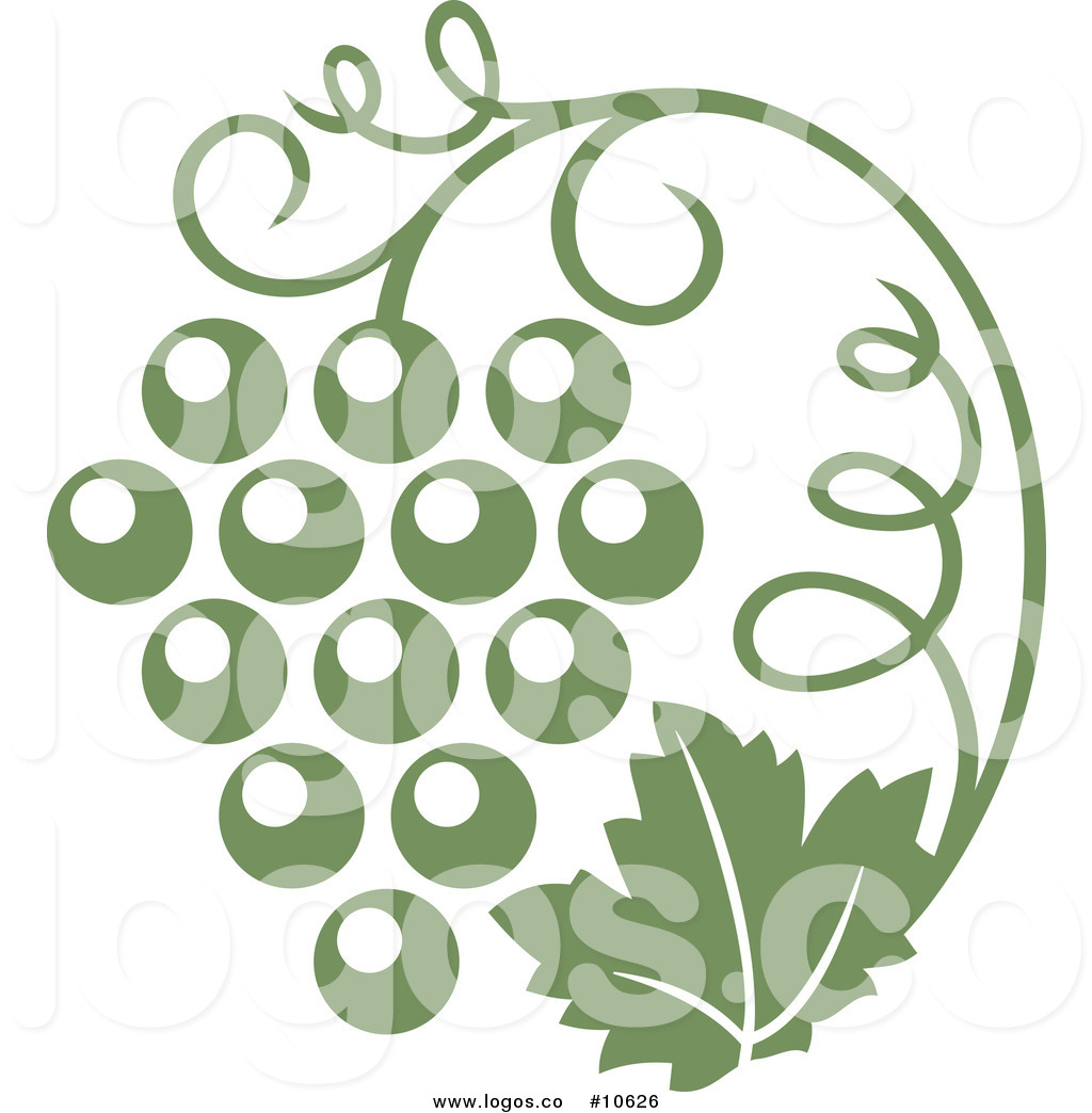 1024x1044 Grape Vine Vector Clipart Collection