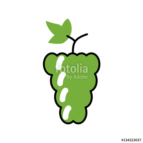 500x500 Grapes, Grape Vines. Vector Flat Line Stock Image And Royalty