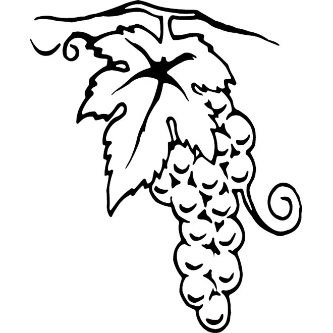 660x660 Grapevine Vector Free Vectors Ui Download