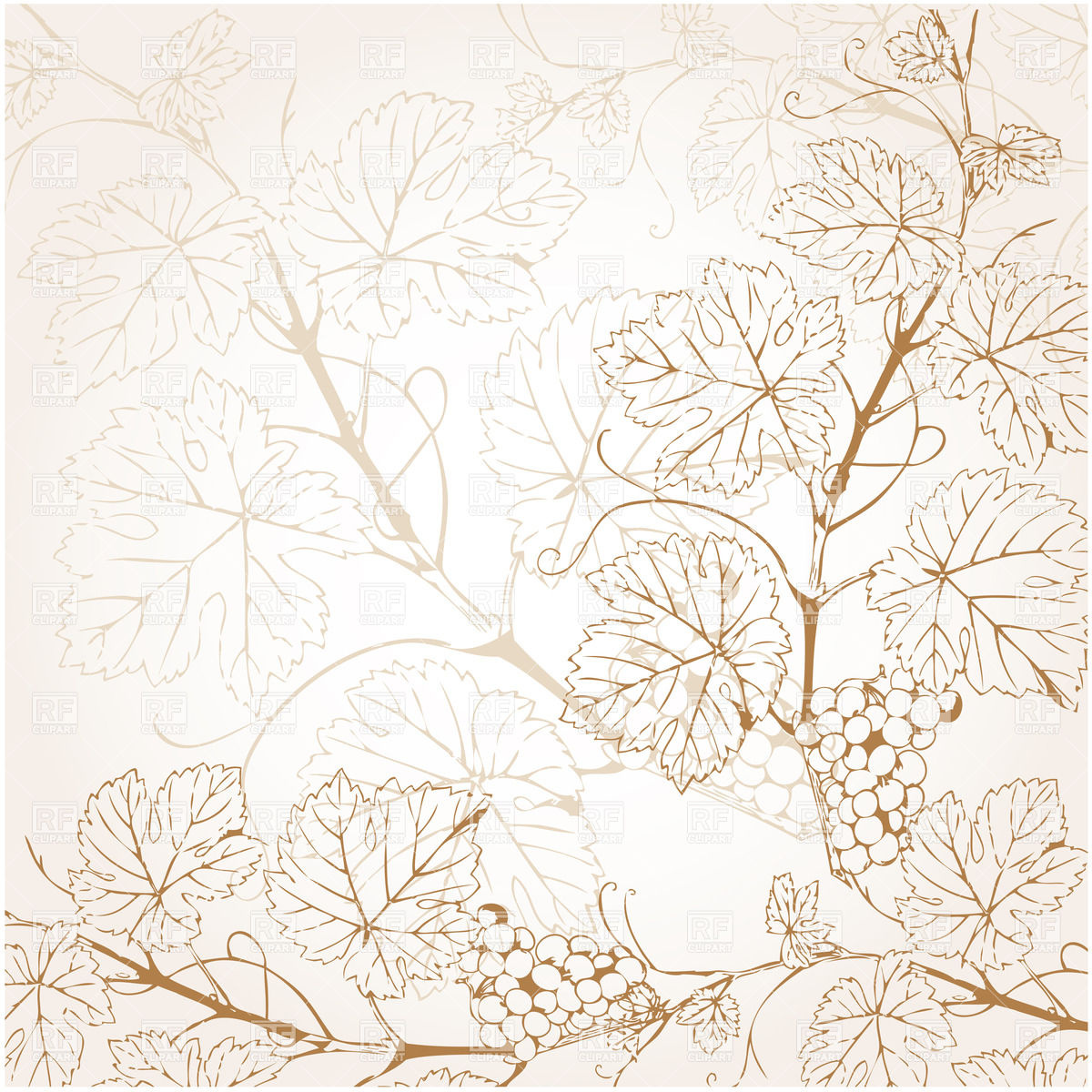 1200x1200 Backgroud With Grapevine Vector Image Vector Artwork Of