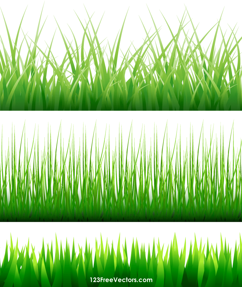 800x950 Free Vector Grass Blades 123freevectors