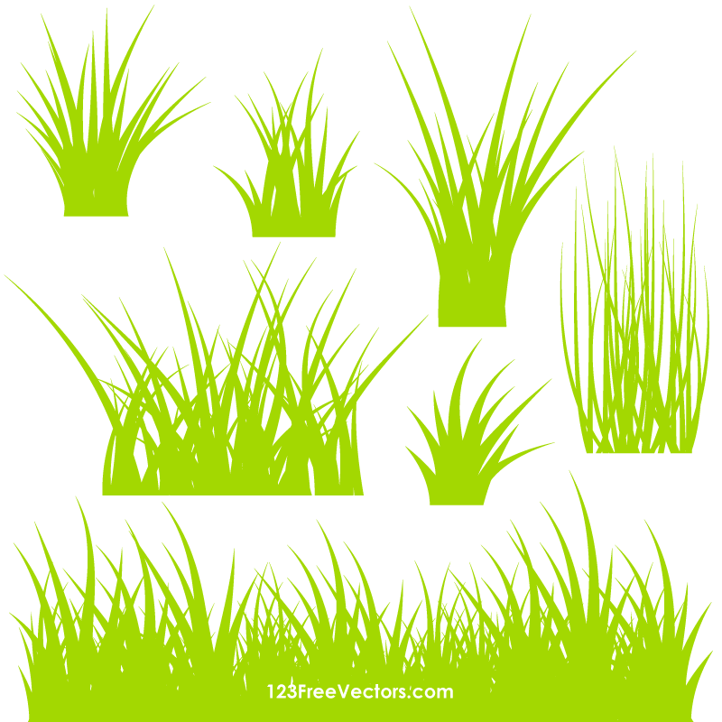800x800 Grass Vector Ai 123freevectors