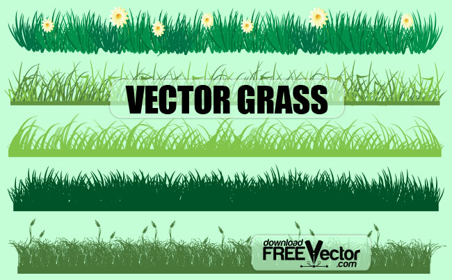 650x402 Vector Grass Free Vector 4vector