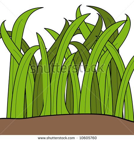 447x470 Cartoon Grass Cartoon Drawing Of Blades Of Green Grass