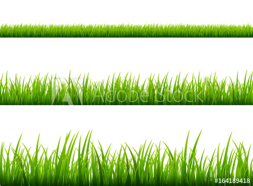 500x368 Green Grass Meadow Border Vector Pattern. Spring Or Summer Plant
