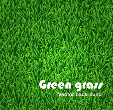 381x368 Grass Free Vector Download (1,043 Free Vector) For Commercial Use