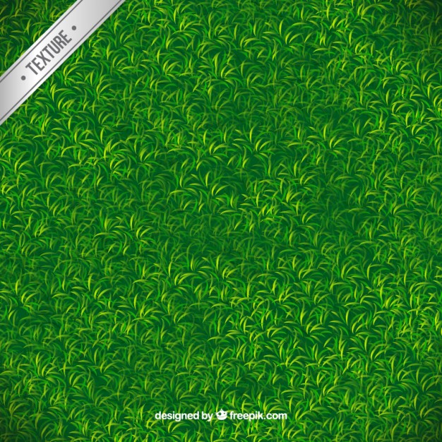 626x626 Green Grass Texture Vector Free Download