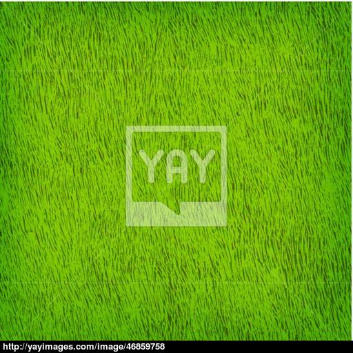 512x512 Green Grass Texture Vector Background Eps 10. Vector