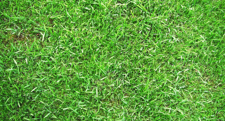 730x392 Grass Textures