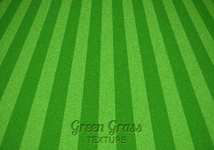700x490 Mowed Green Grass Vector Texture