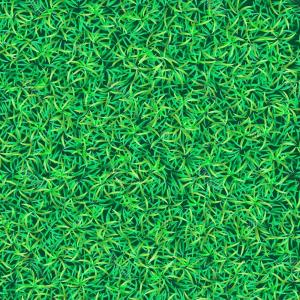 300x300 Photostock Vector Green Grass Seamless Texture Geekchicpro