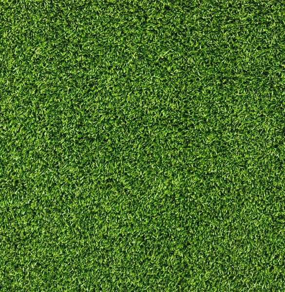 585x600 Xoo Plate Lush Green Grass Texture Background