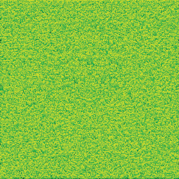 612x612 Collection Of Grass Texture Clipart High Quality, Free