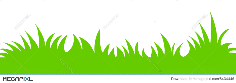 800x283 Grass Vector Illustration 8434446