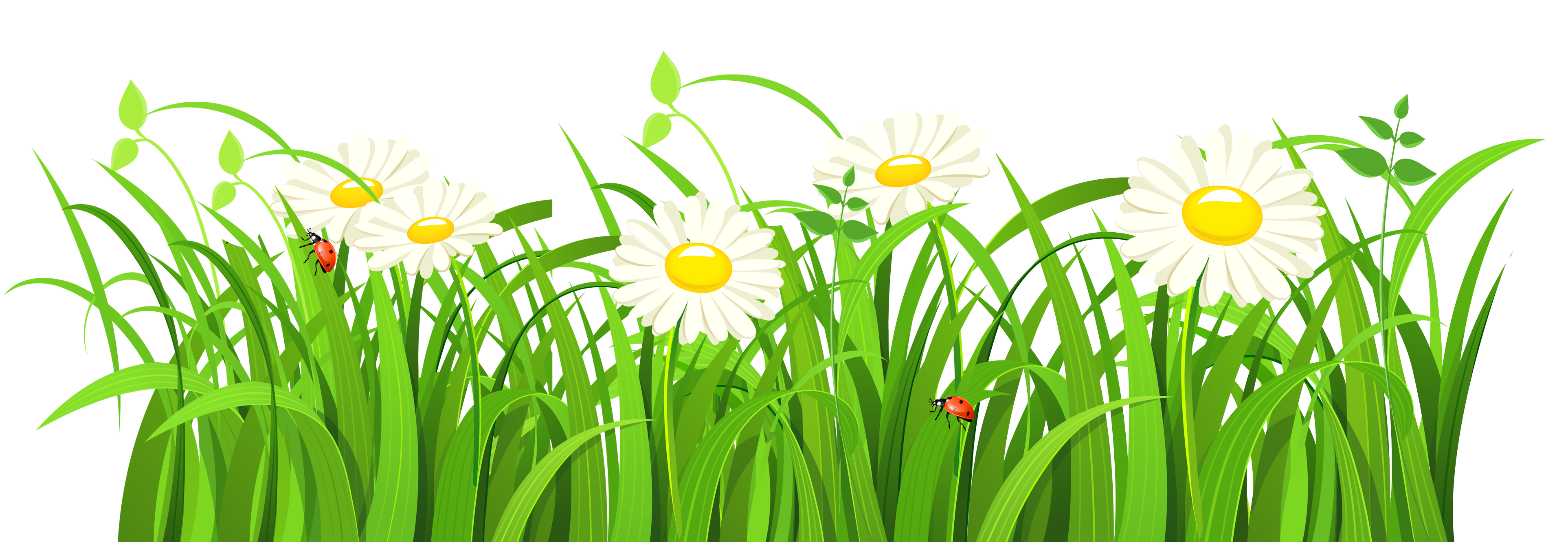 3850x1330 Grass Vector Png Image