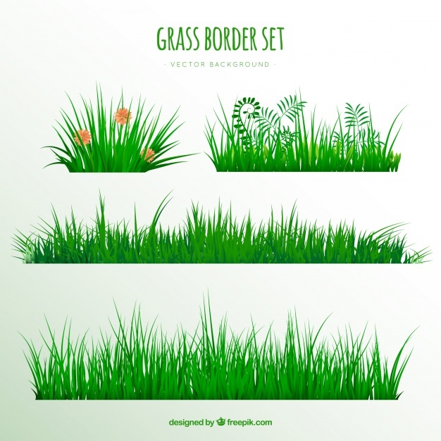 626x626 Grass Vectors, Photos And Psd Files Free Download