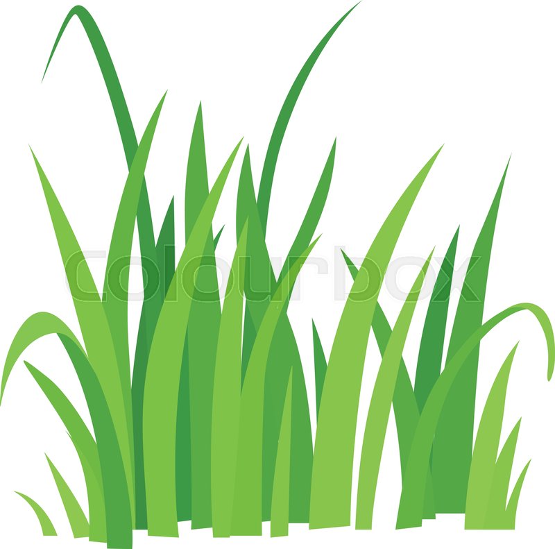 800x791 Grass Icon. Cartoon Illustration Of Grass Vector Icon For Web