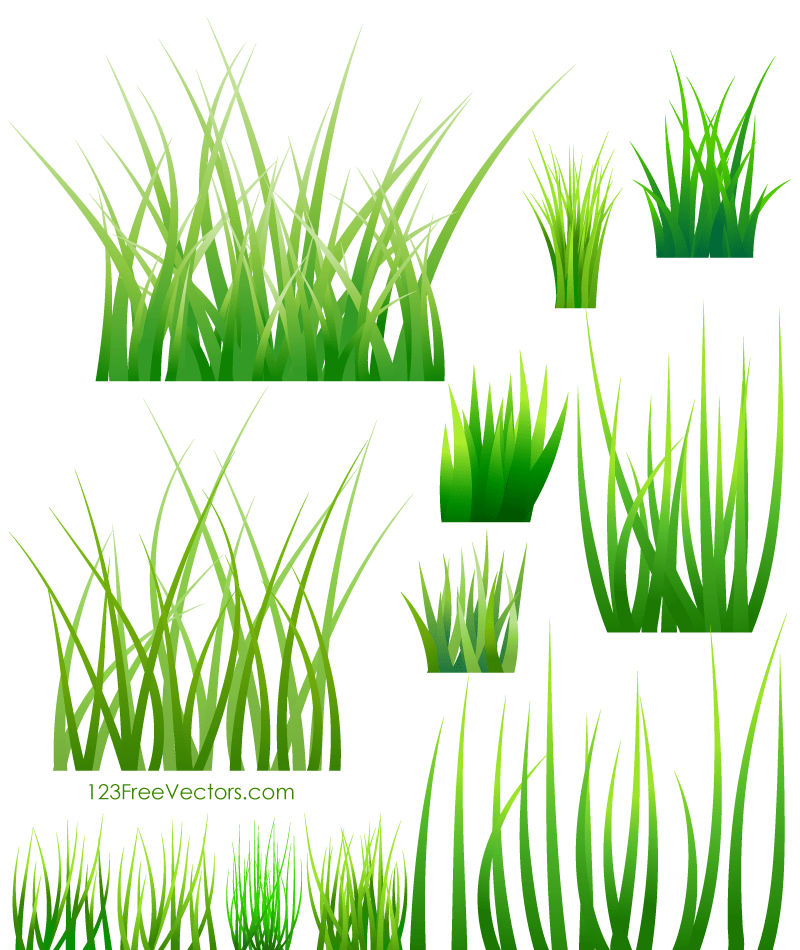 800x950 Green Grass Vector 123freevectors
