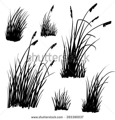 450x470 Set Of Hand Drawn Beach Grass. Vector.