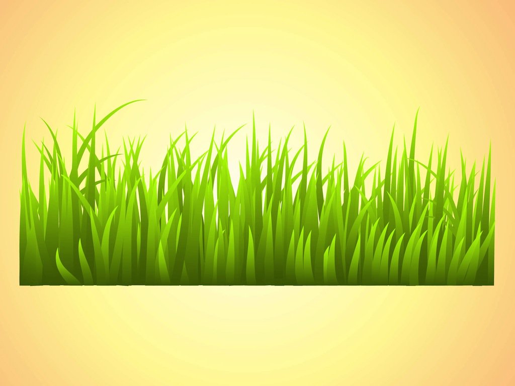 1024x768 Grass Vector Vector Art Amp Graphics