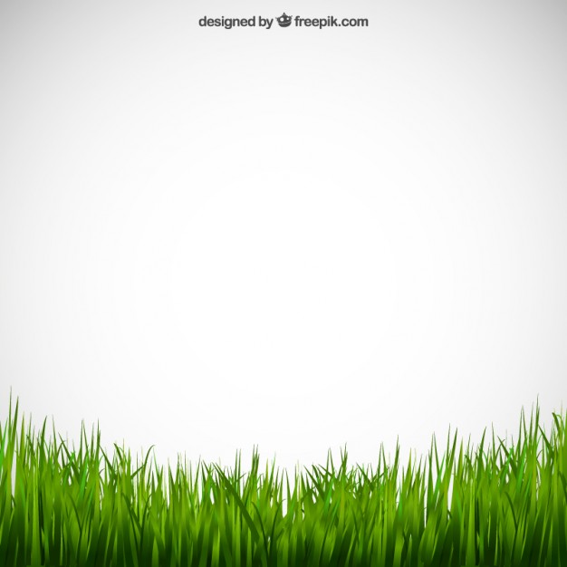 626x626 Grass Vectors, Photos And Psd Files Free Download