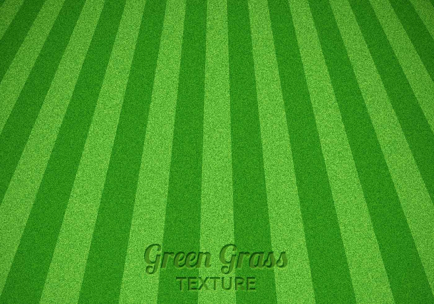 1400x980 Ground Clipart Grass Floor ~ Frames ~ Illustrations ~ Hd Images