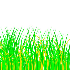 270x270 Grass
