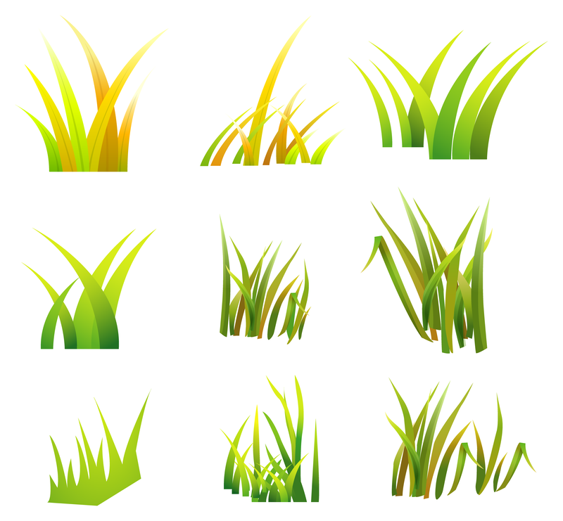 800x741 Free Vector Grass