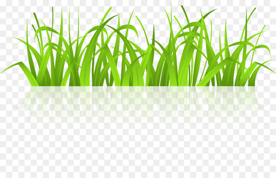 900x580 Free Content Clip Art