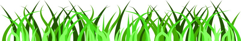 800x138 Grass Free Vector 4vector