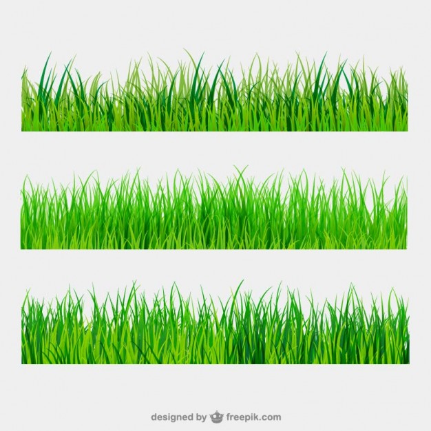 626x626 Grass Vectors, Photos And Psd Files Free Download