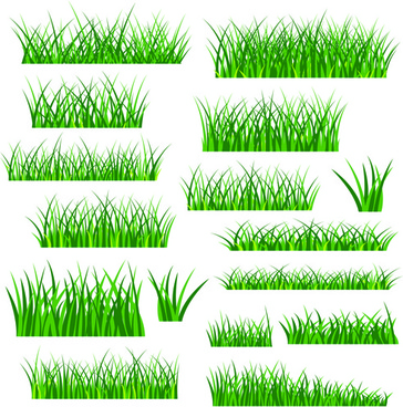 364x368 Grass Free Vector Download (1,043 Free Vector) For Commercial Use