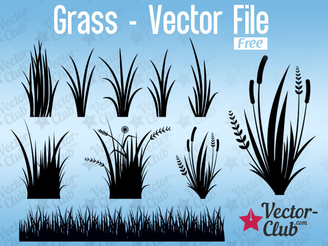 666x500 Grass Free Vector File Vector