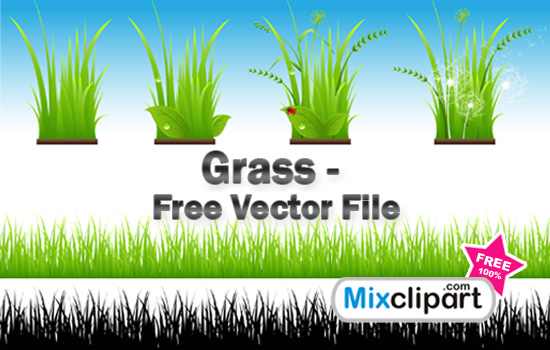 550x350 Grass Vector File
