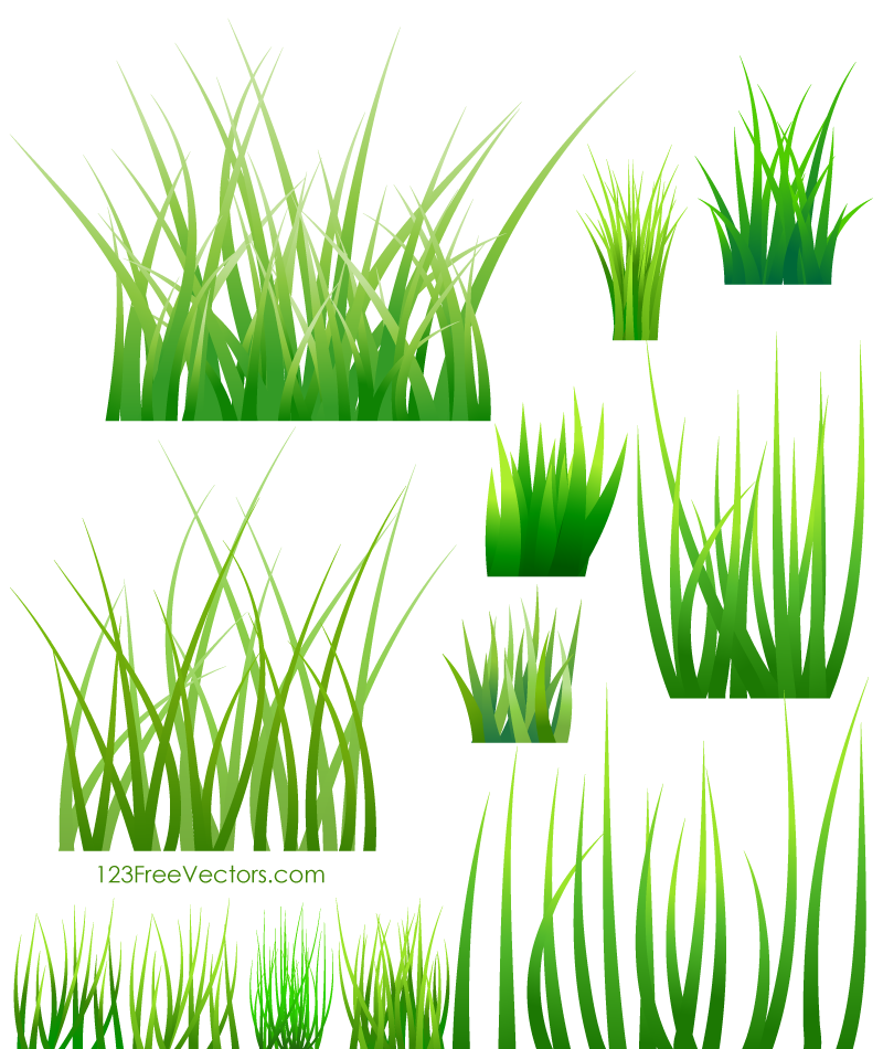800x950 Green Grass Vector 123freevectors