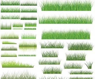 336x280 Green Grass Templates Vector Scrapbooking Grasses