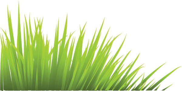 600x301 Green Grass Vector Free Vector 4vector