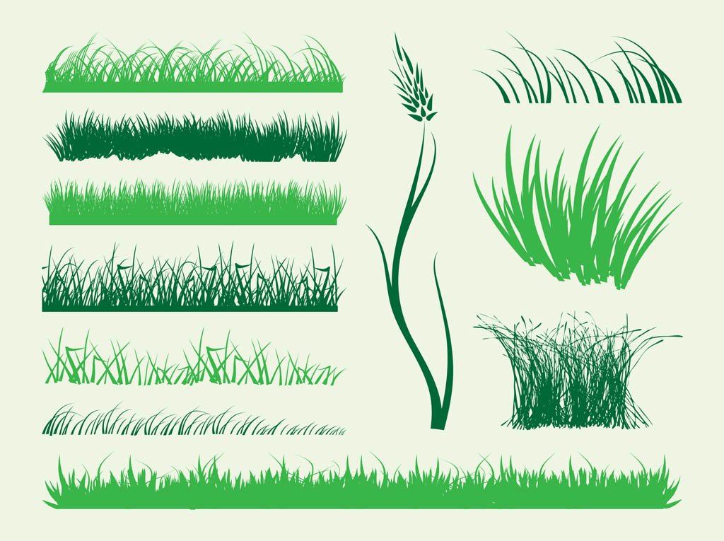 1024x765 Stems Of Grass Vector Vector Art Amp Graphics