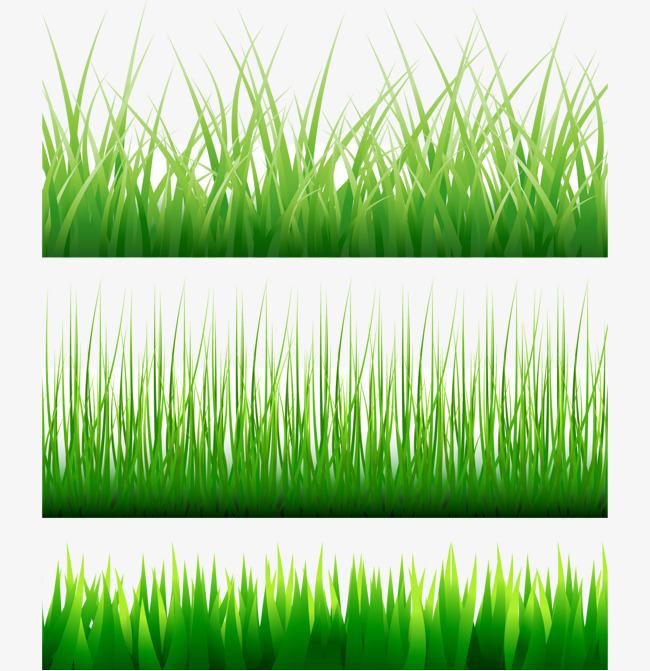 650x671 Vector Grass, Grass Vector, Meadow, Vector Free Download Png And