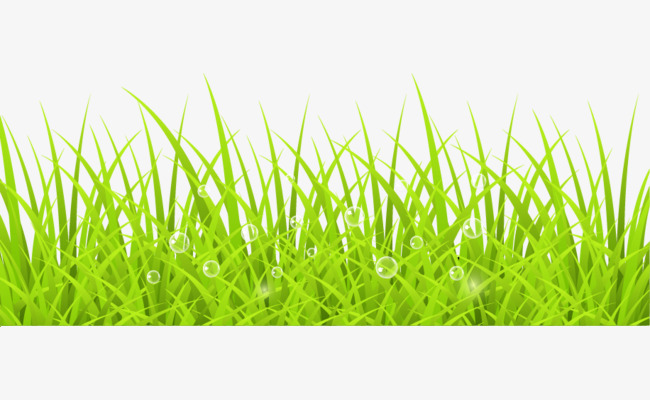 650x400 Vector Grass, Underbrush, Grass, Vector Free Download Png And