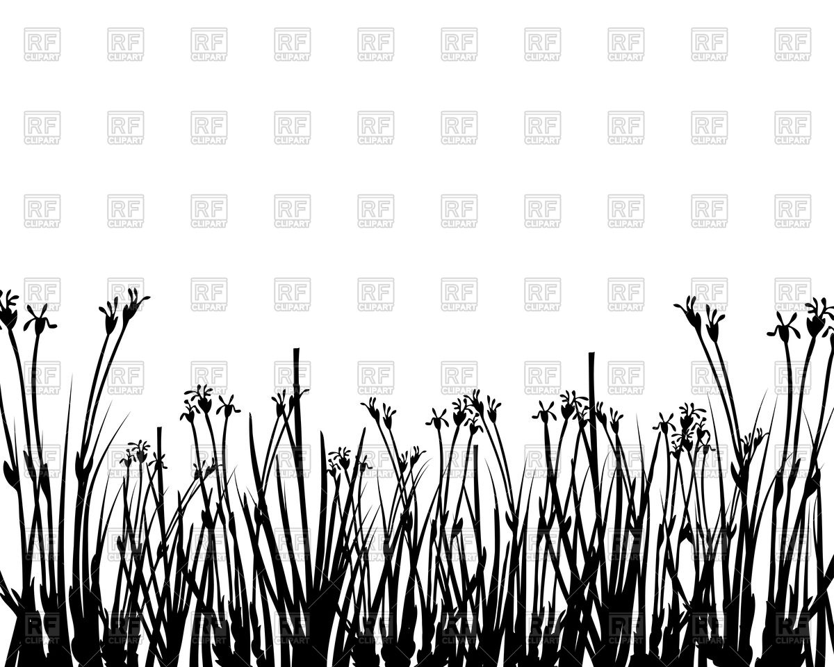 1200x960 Wild Grass Silhouette Vector Image Vector Artwork Of Plants And