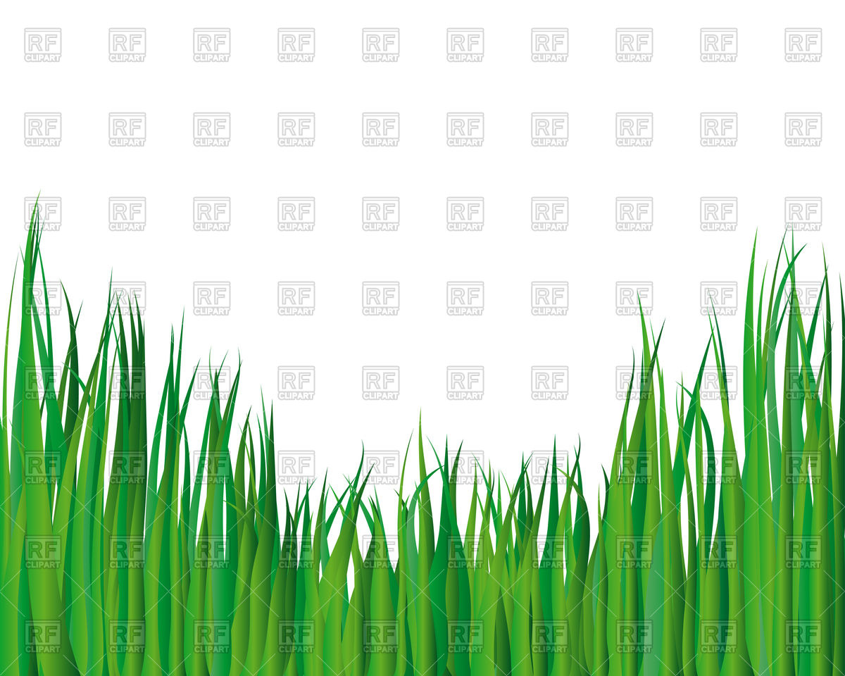 1200x960 Background With Green Grass Vector Image Vector Artwork Of