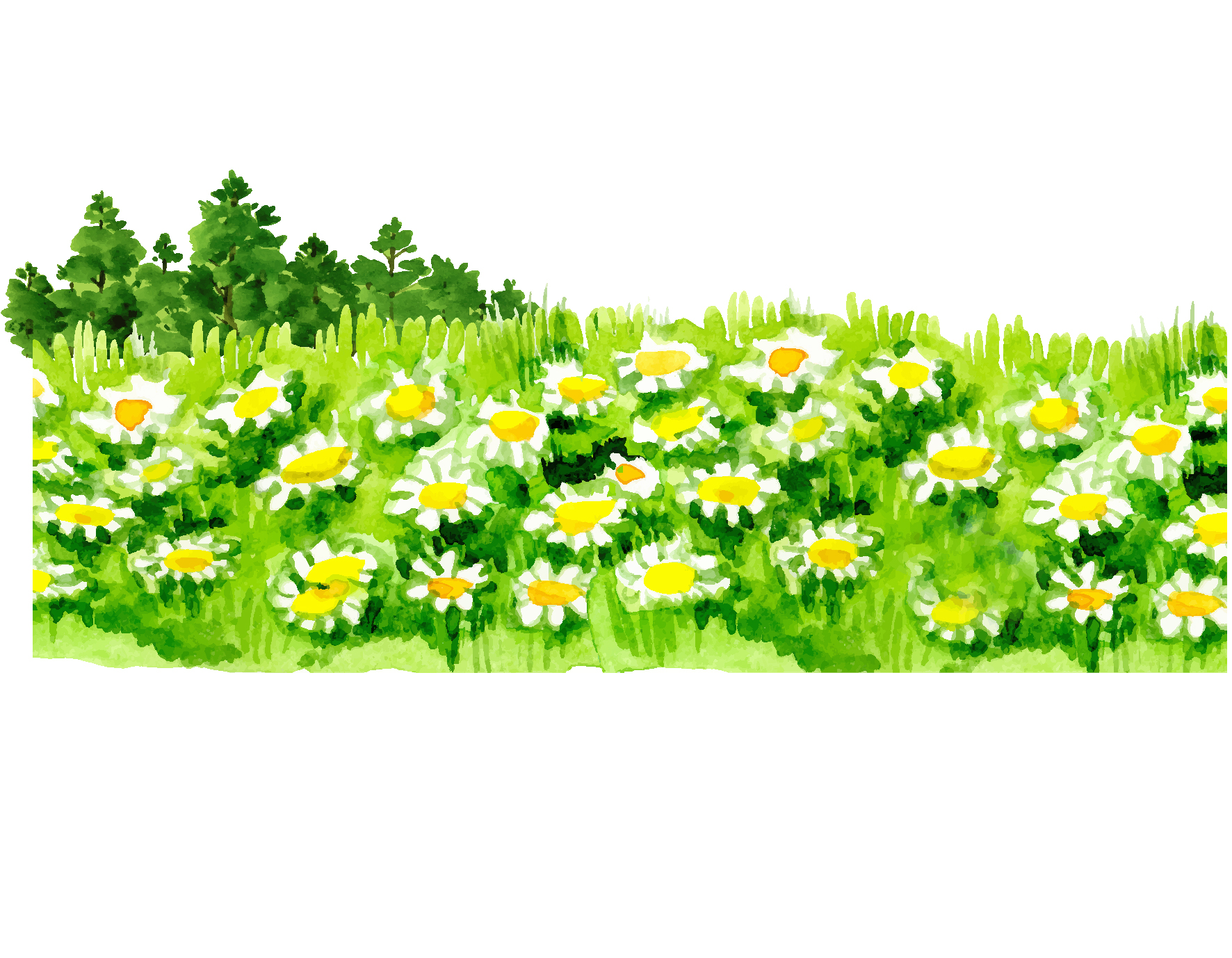 1772x1378 Fresh Green Zouju Green Grass Vector Elements Free Download Ai