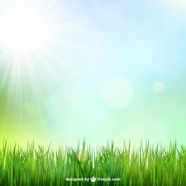 626x626 Grass Vectors, Photos And Psd Files Free Download