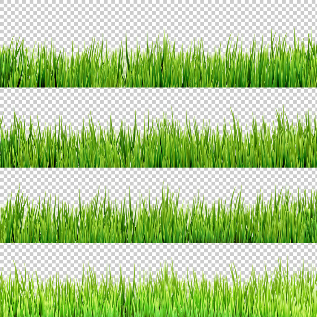 1024x1024 Green Grass Free Png Transparent Layer Design Free Download
