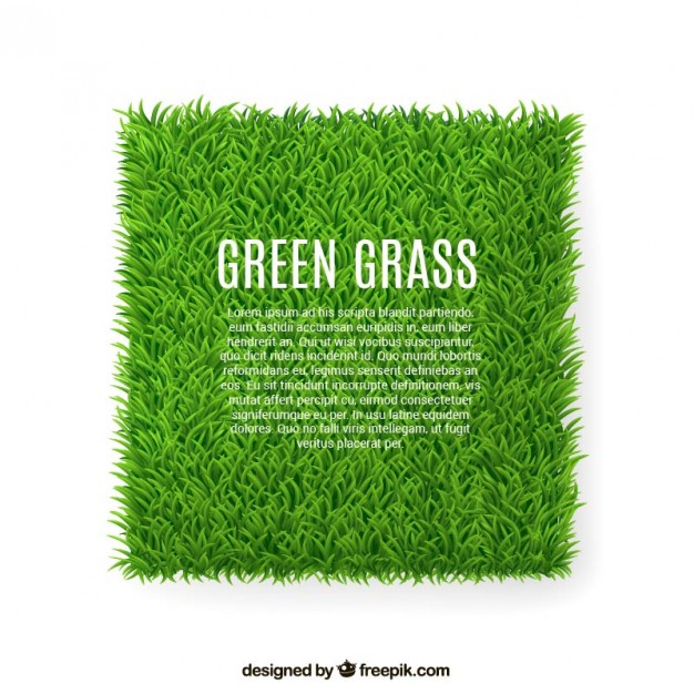 626x626 Green Grass Banner Vector Free Download
