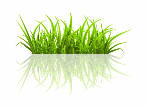 468x343 Green Grass Vectors Stock In Format For Free Download 15.87mb
